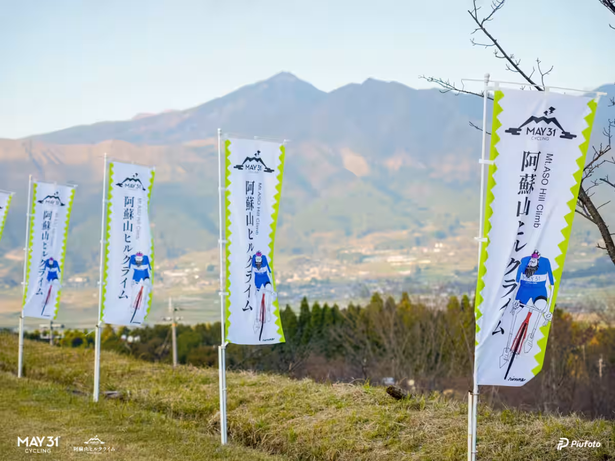 画像14