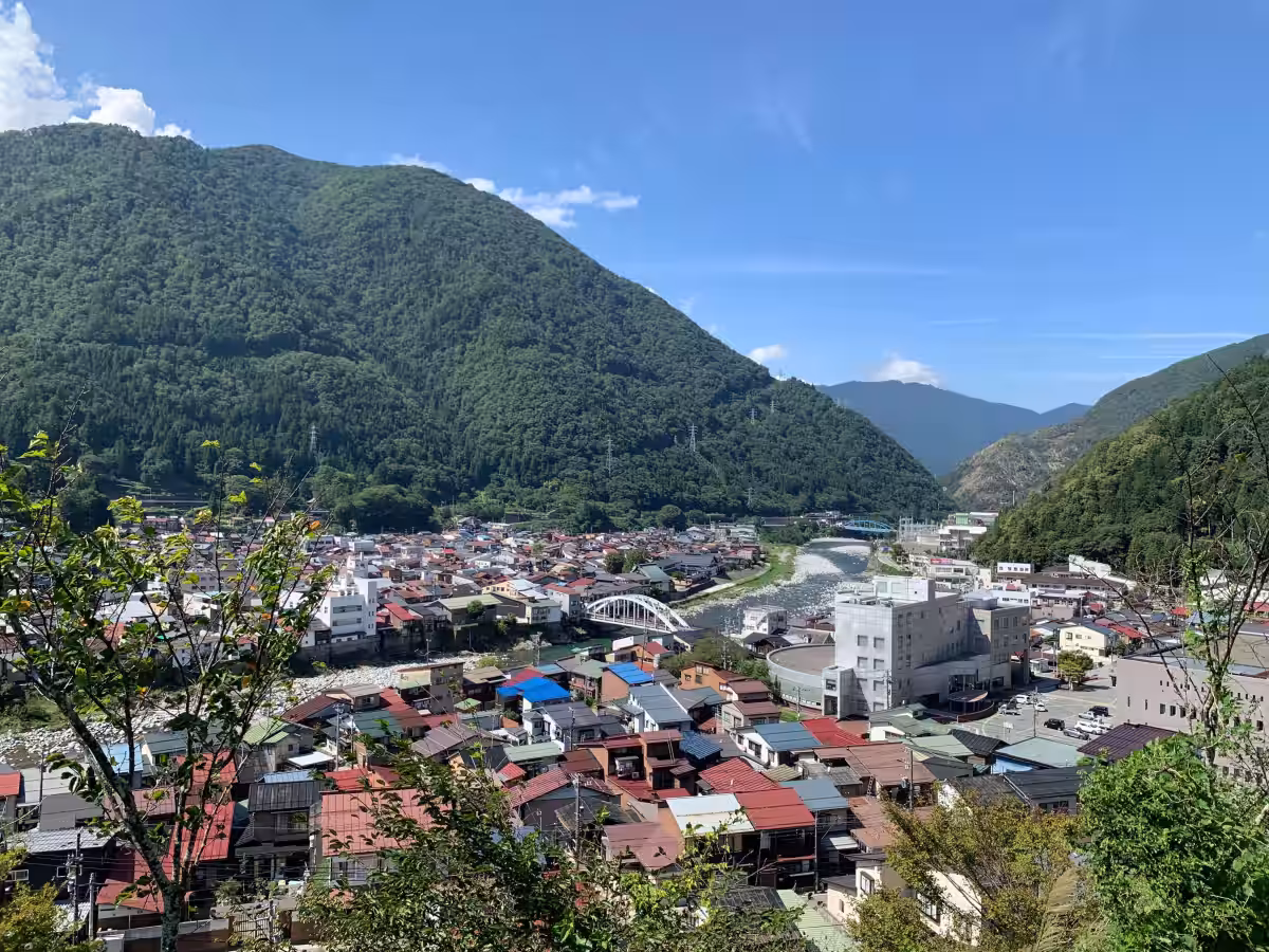 画像7