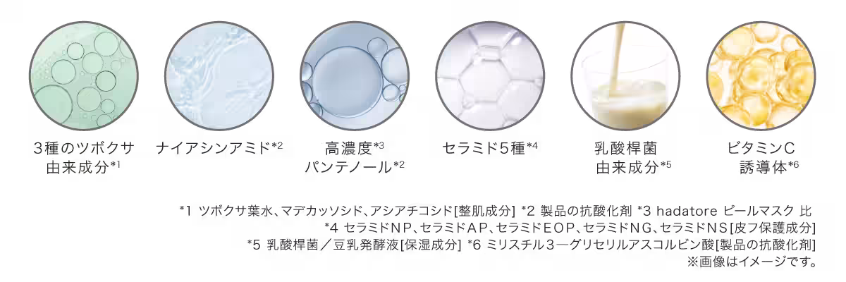 画像9