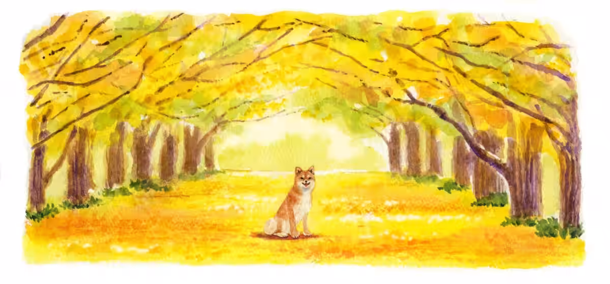 画像8