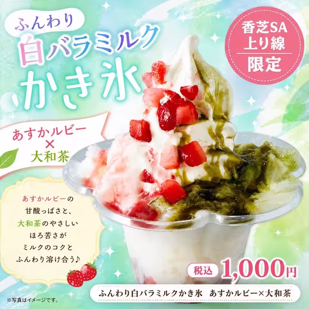 画像8