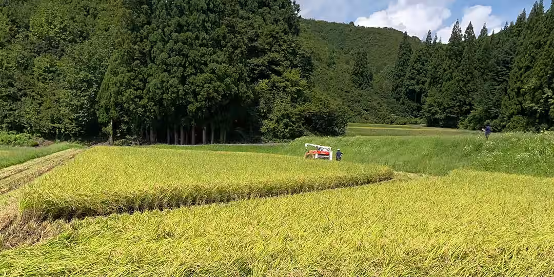 画像6