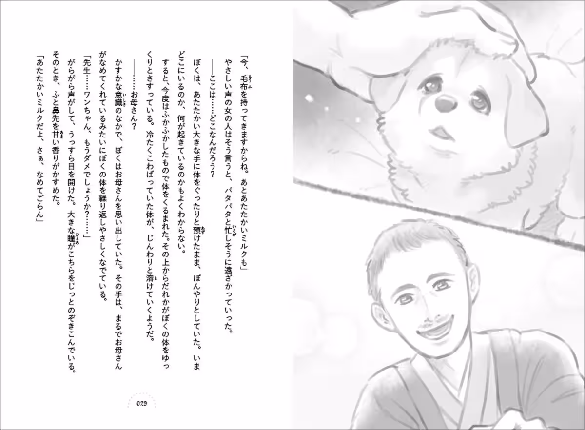 画像4