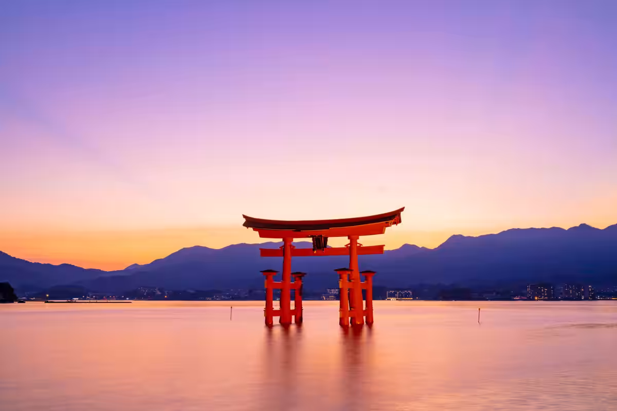 画像7