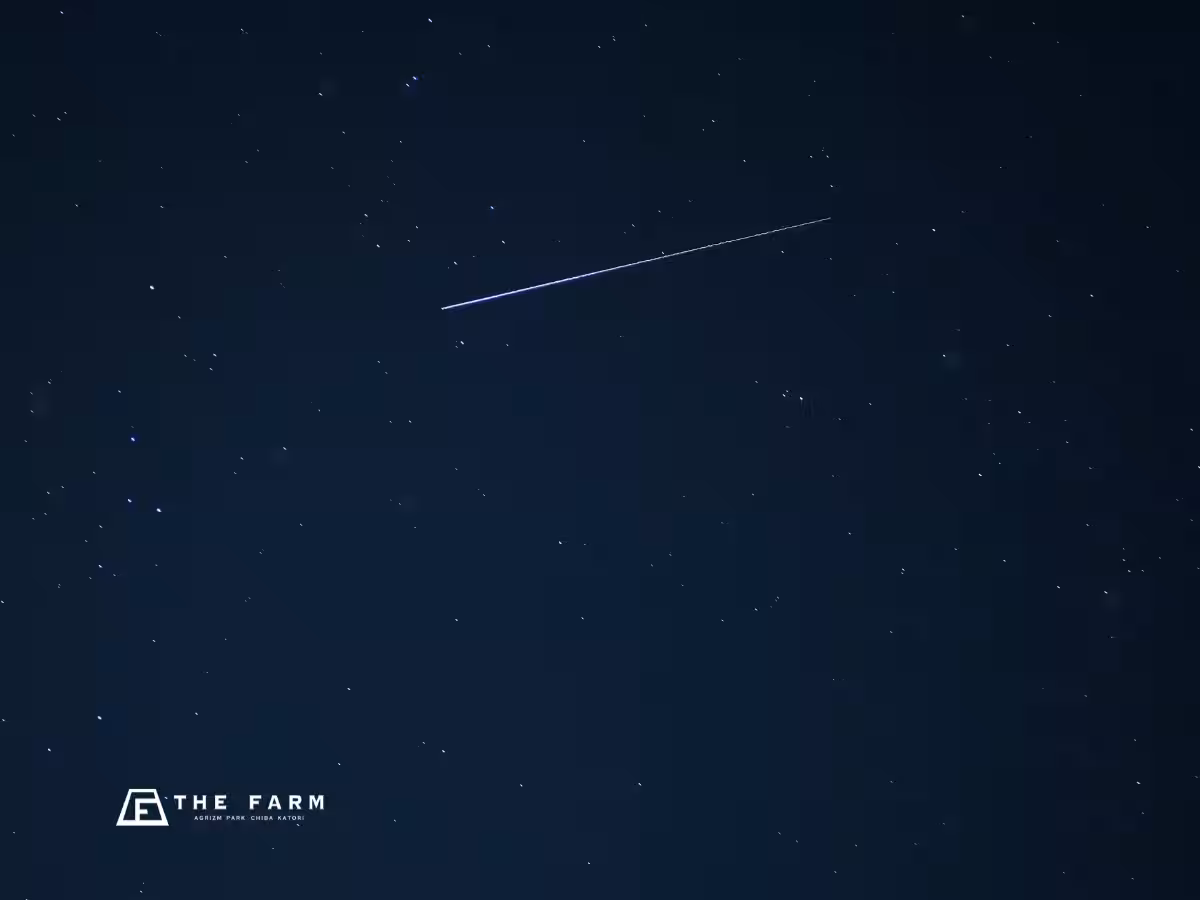 画像11
