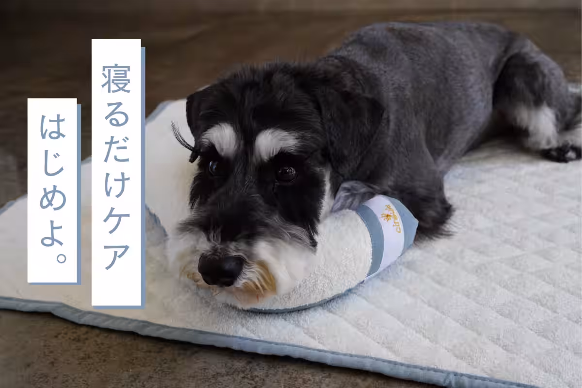 画像1