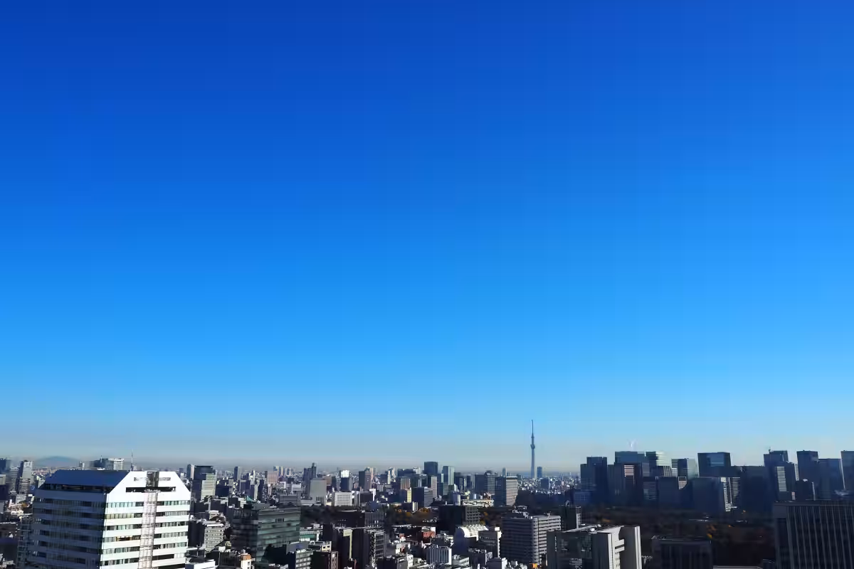 画像6