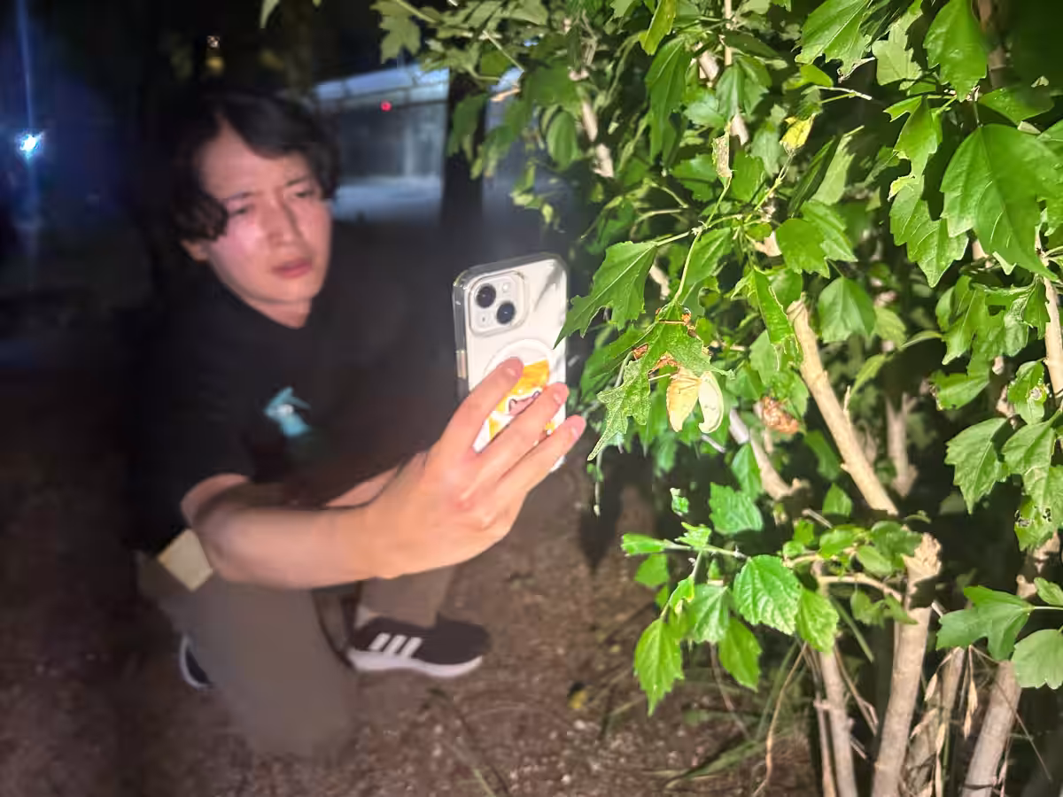 画像8