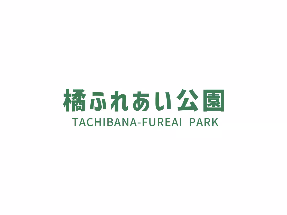画像11