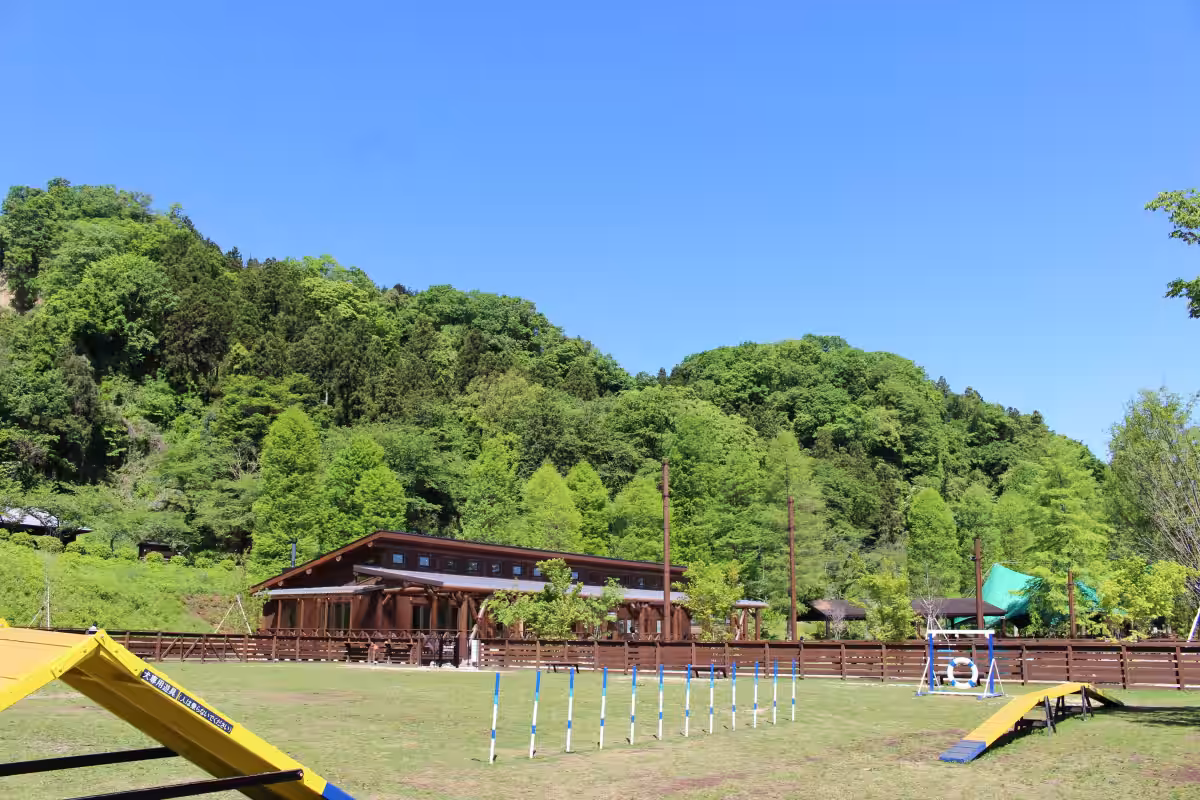 画像6