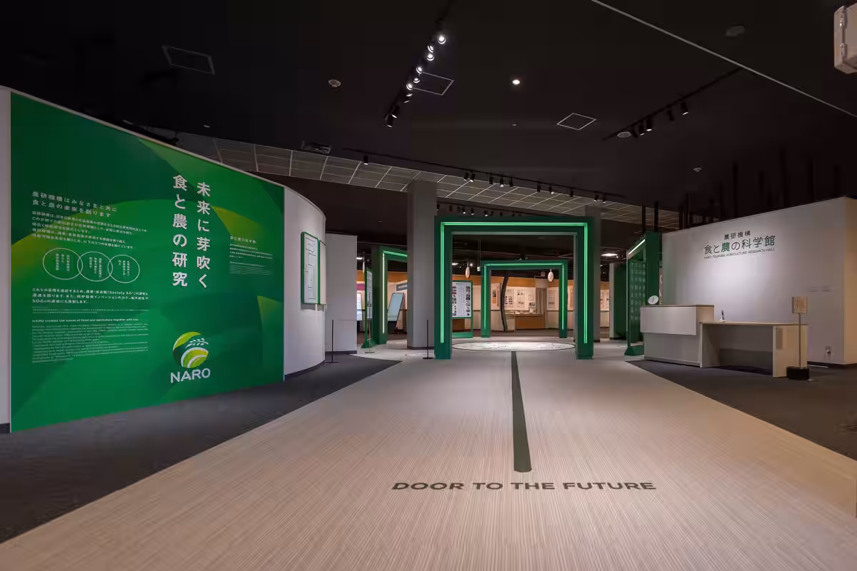 画像7