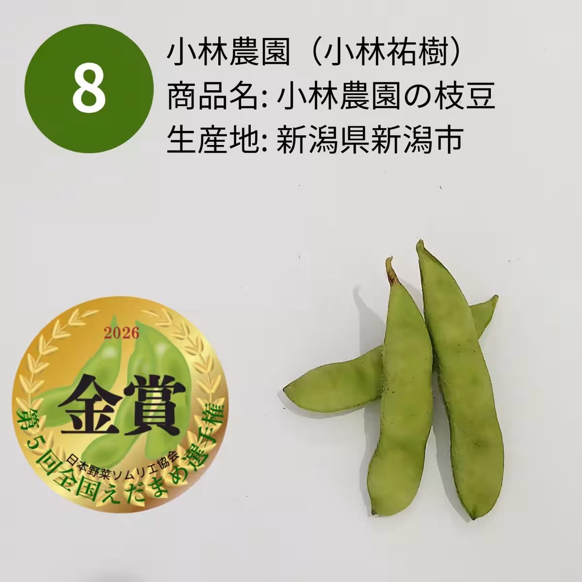 画像11