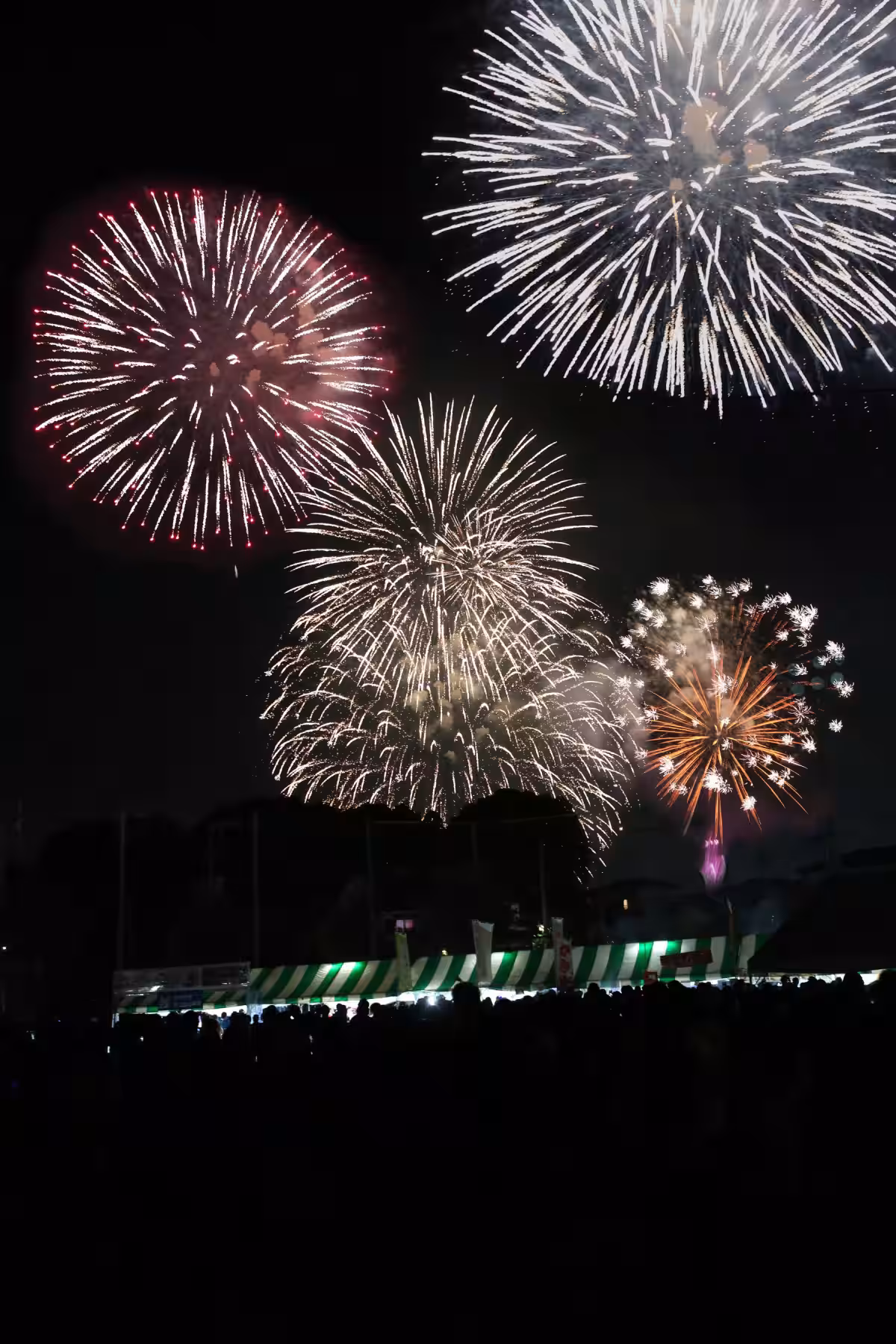 画像9