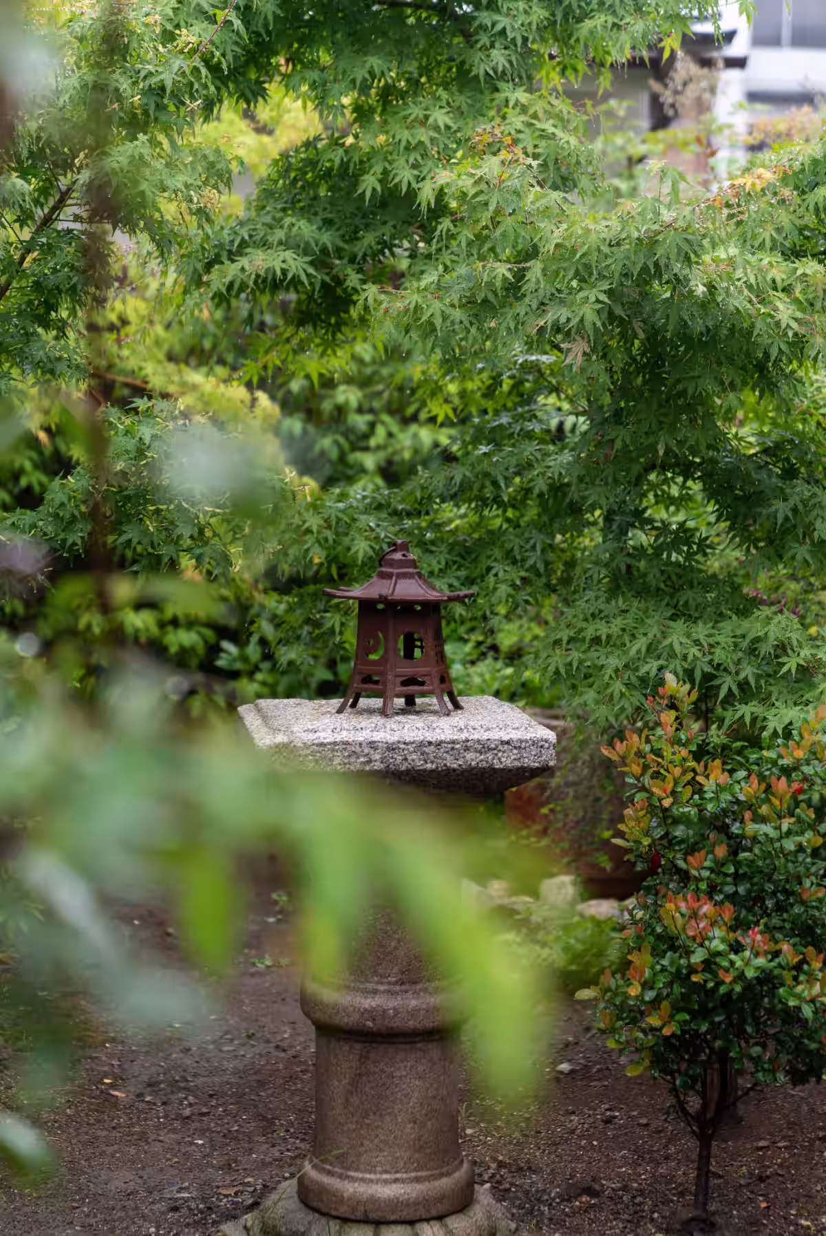 画像14