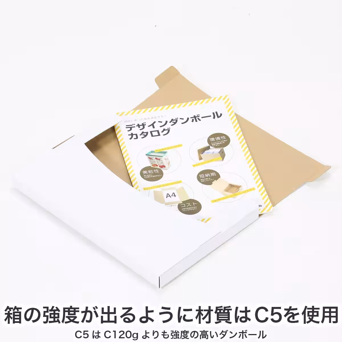 画像13