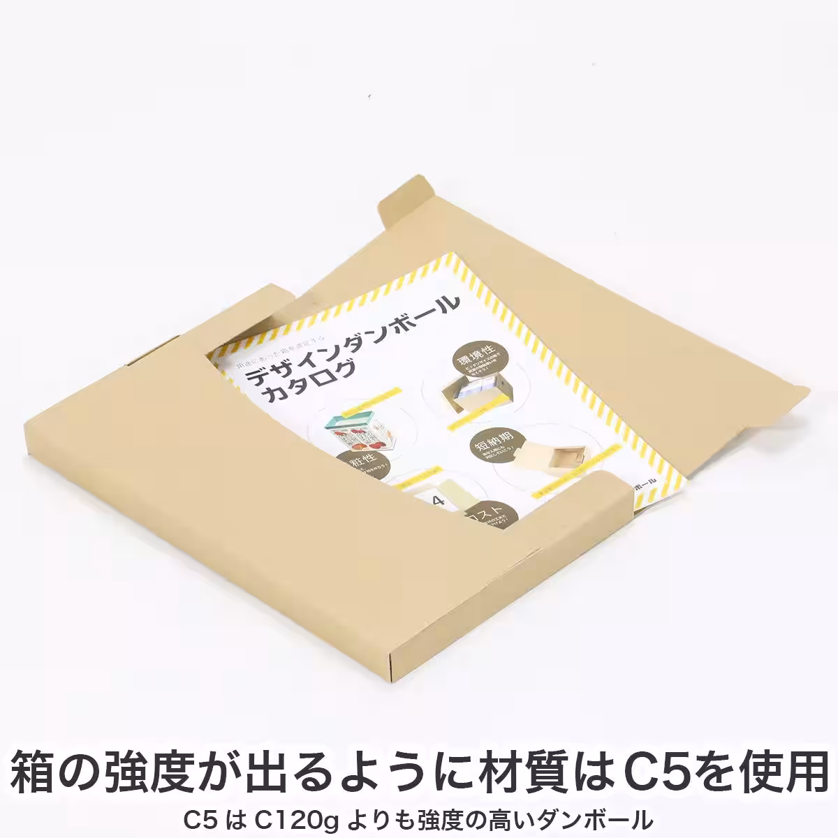 画像8