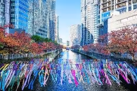 画像13
