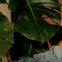 海が見える音楽