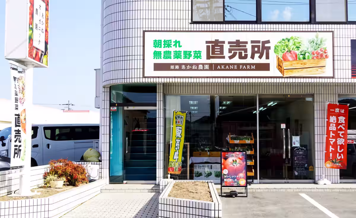 画像6