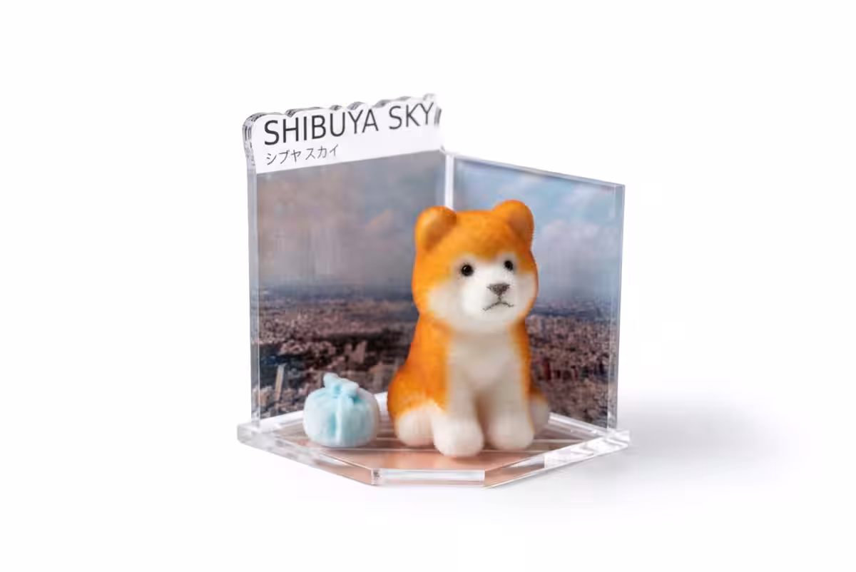 画像6