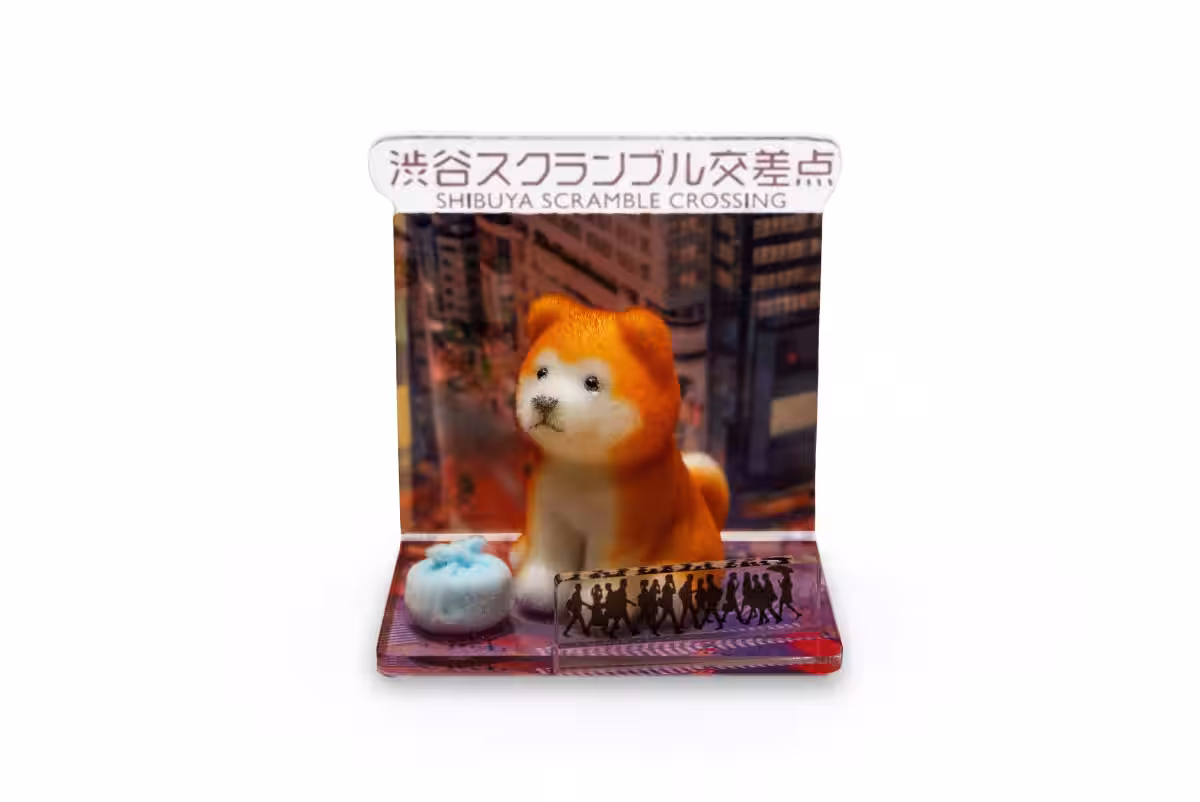 画像7