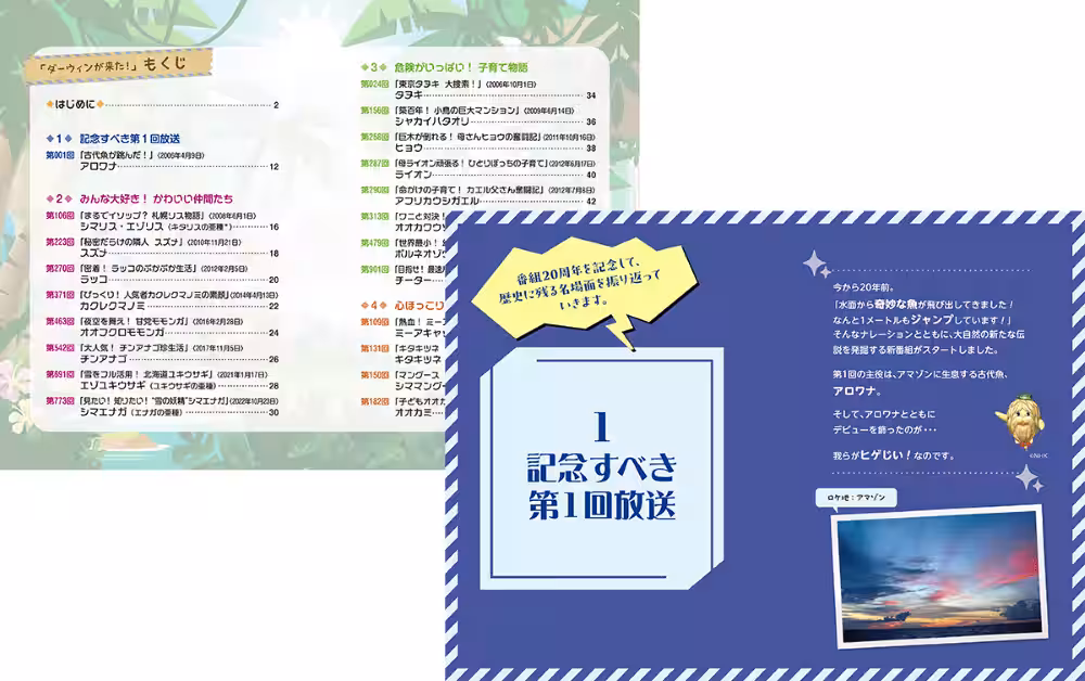 画像5