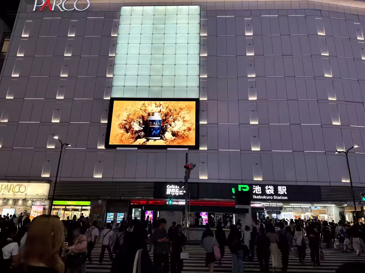 画像5