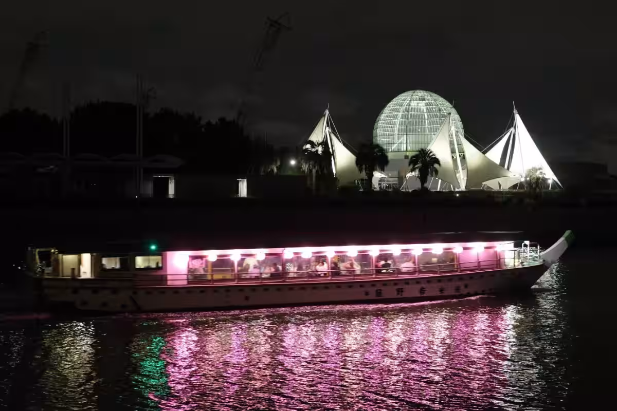 画像14