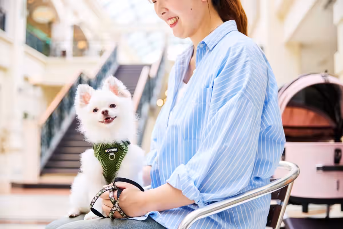 画像6