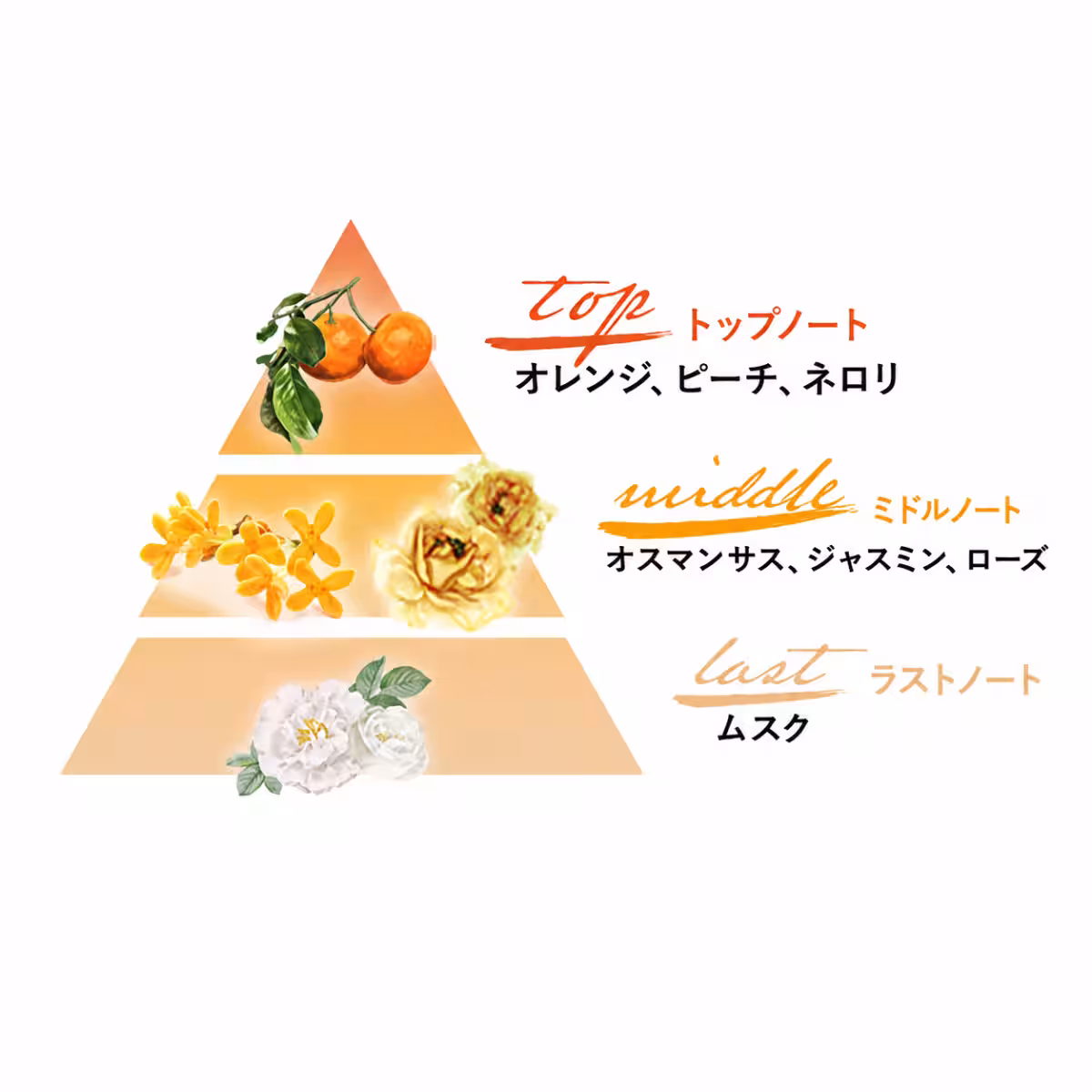 画像12