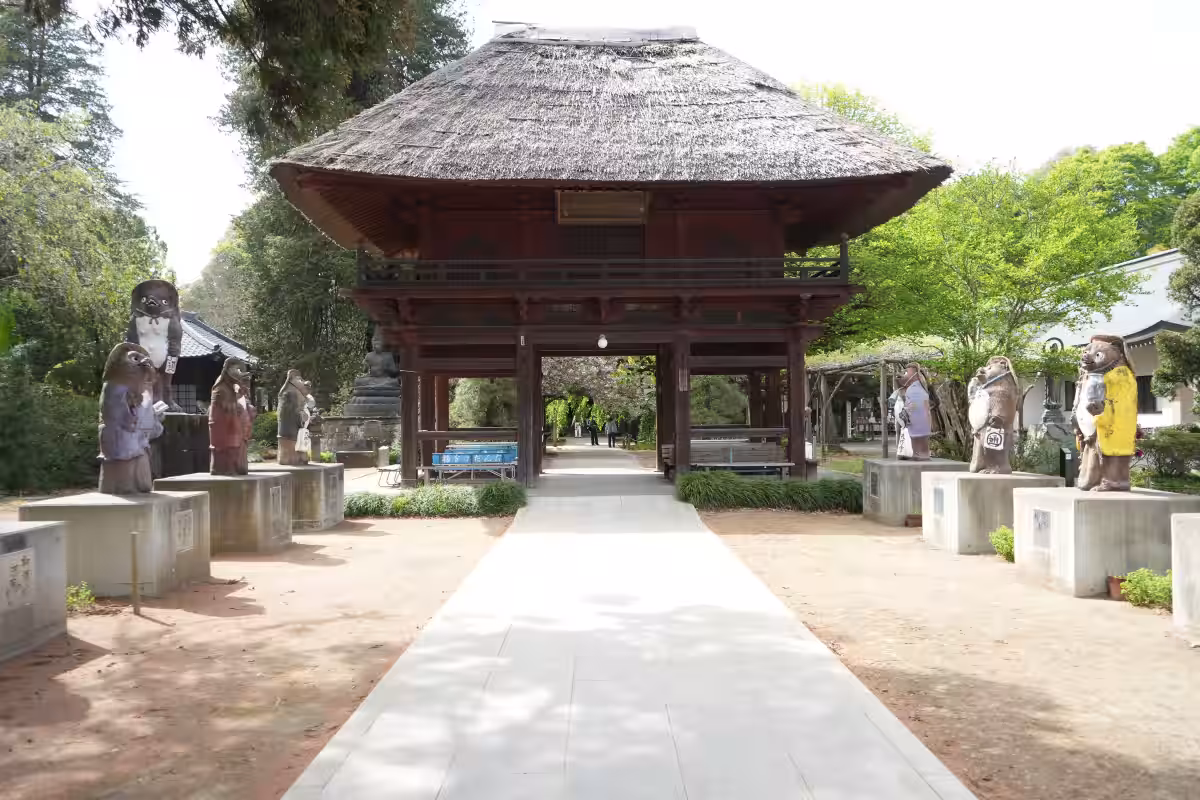 画像7