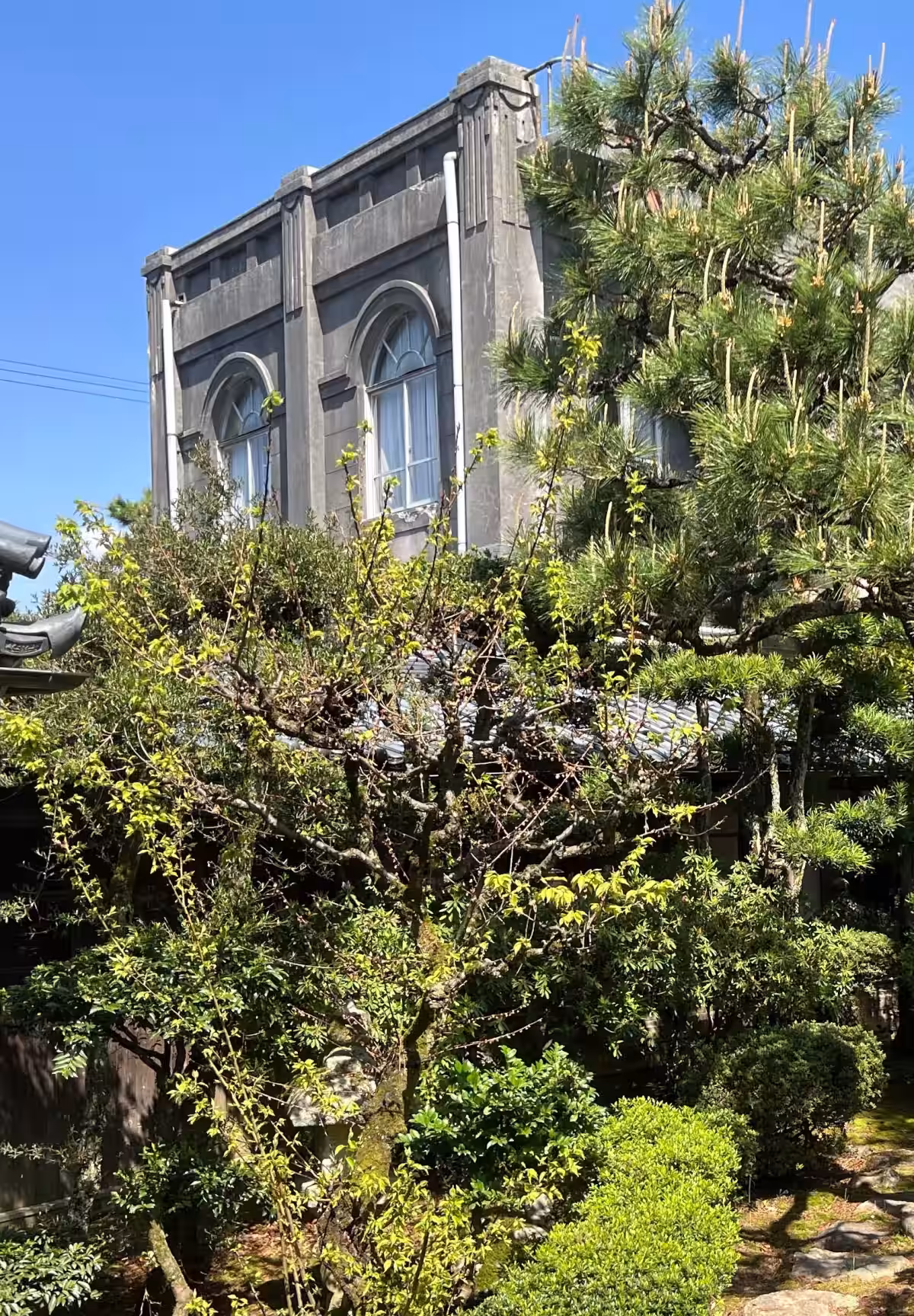 画像4