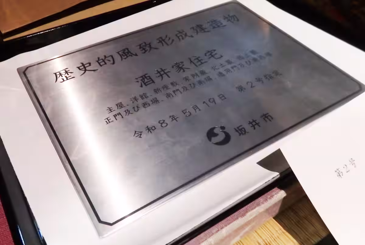 画像8