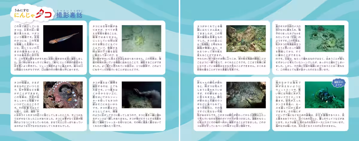 画像6