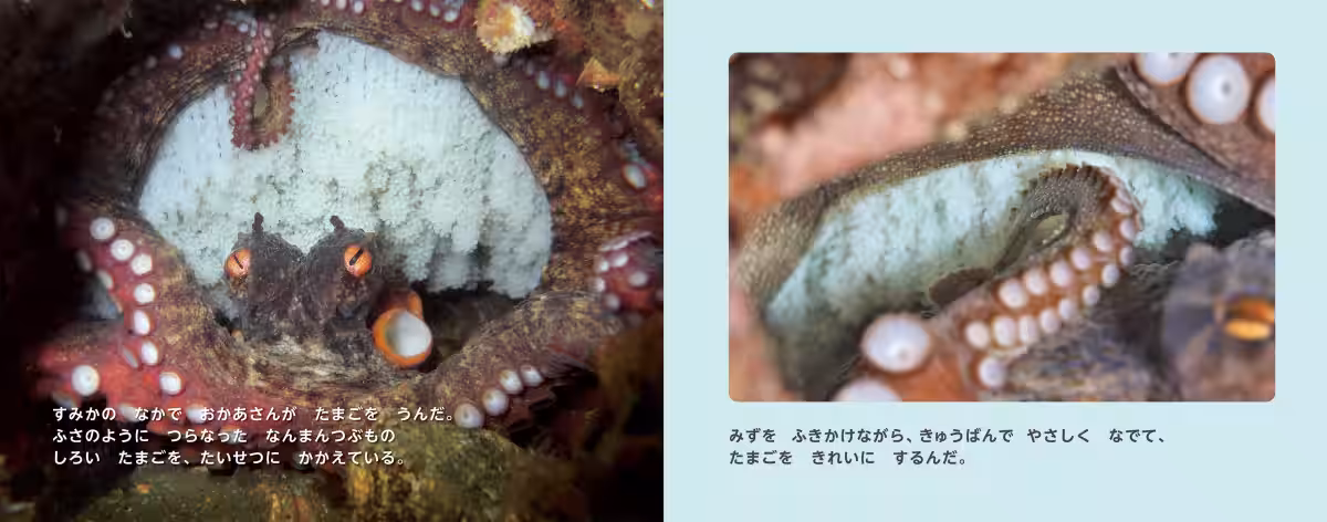 画像5