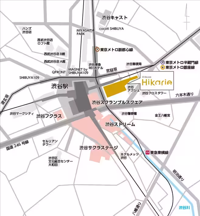 画像12