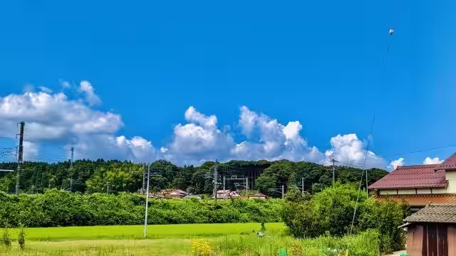 画像1