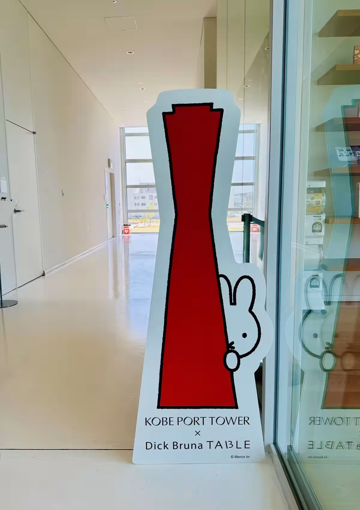画像11