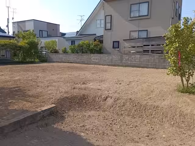 画像5