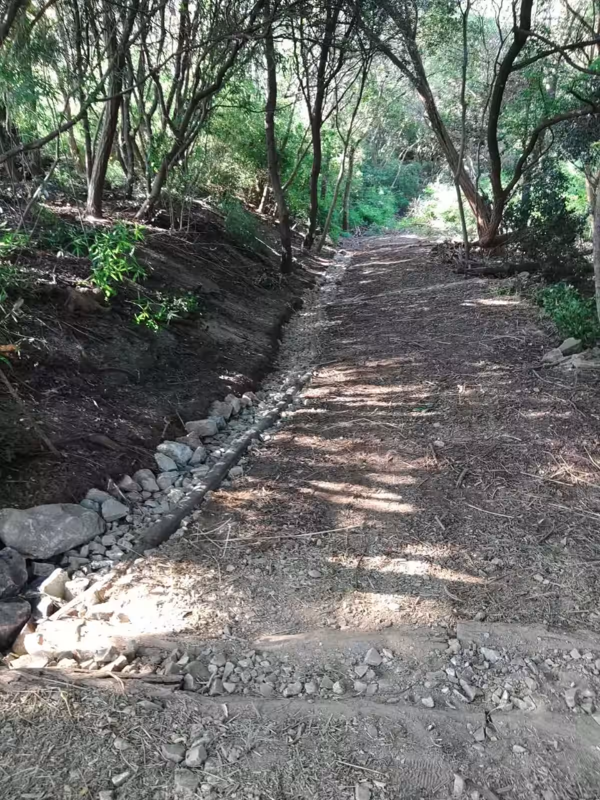 画像11