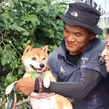 画像8