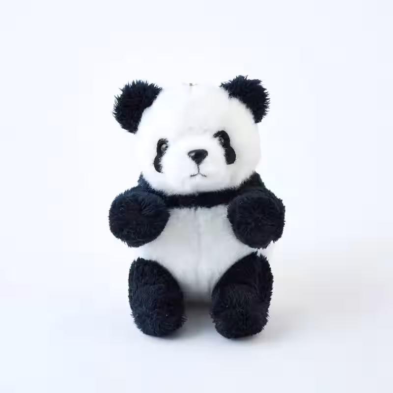 画像8