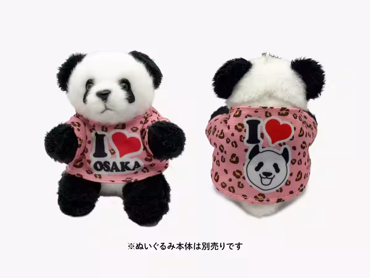 画像4