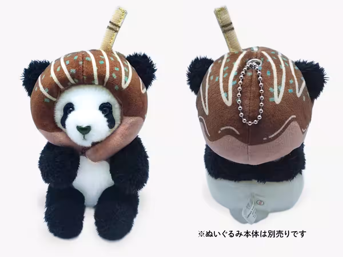 画像6