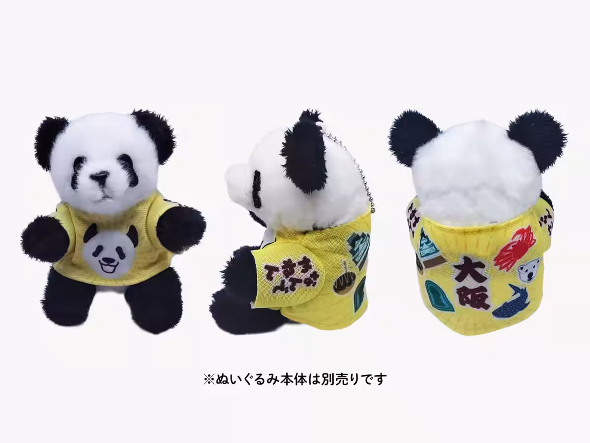 画像5