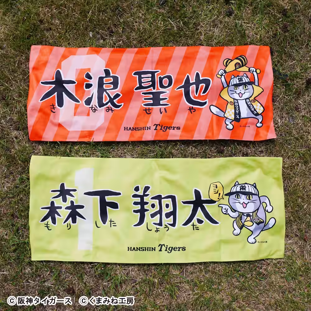画像5