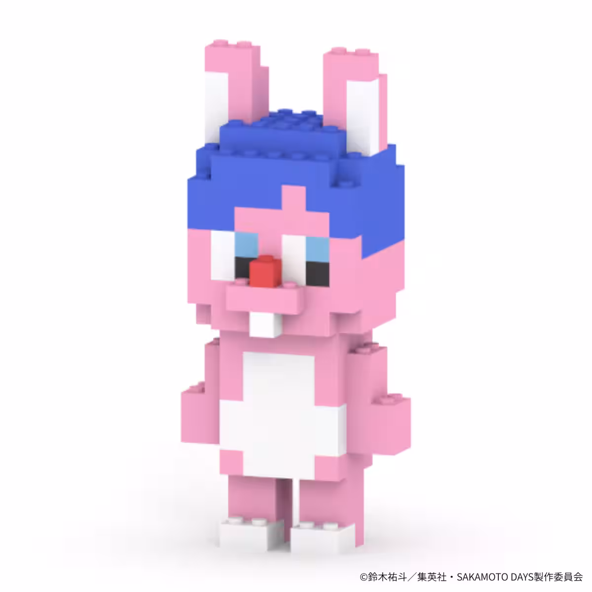 画像24