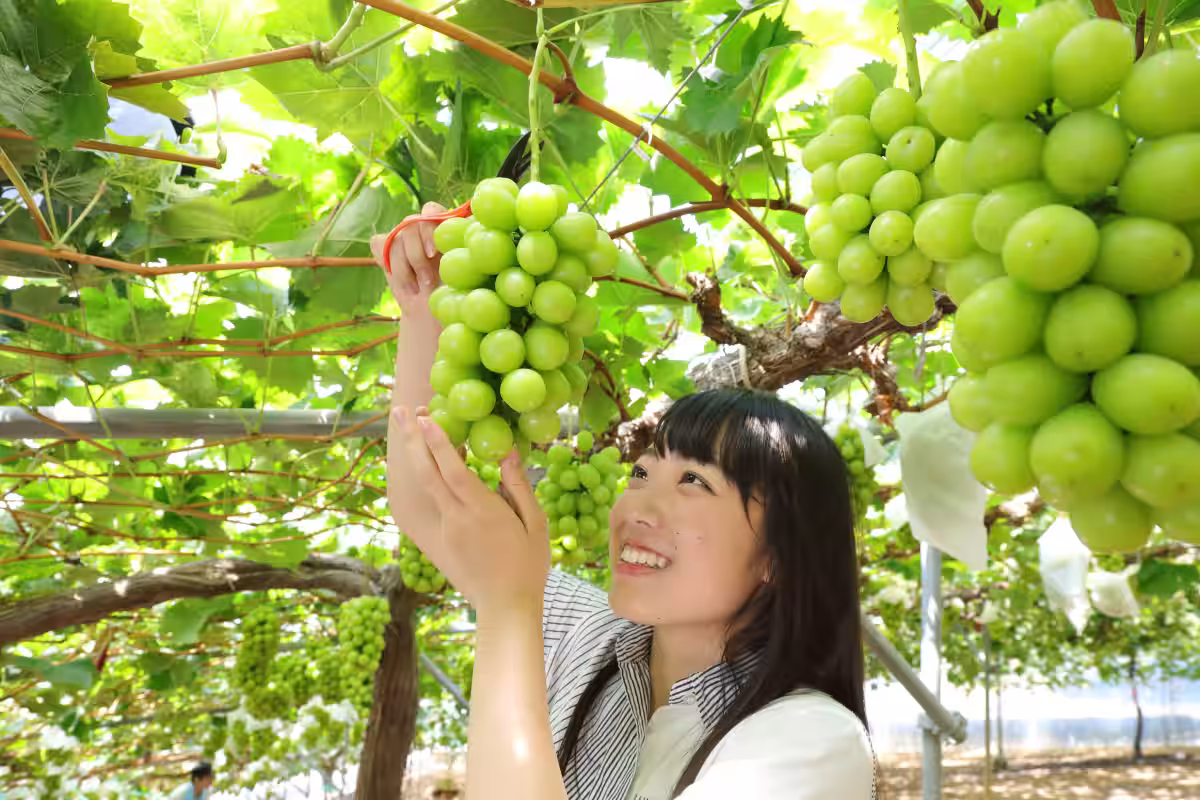 画像16