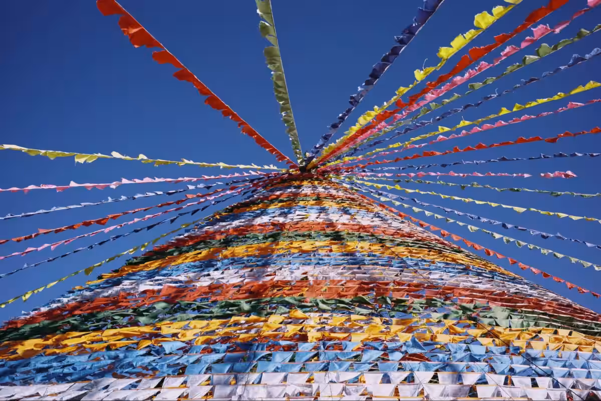 画像11
