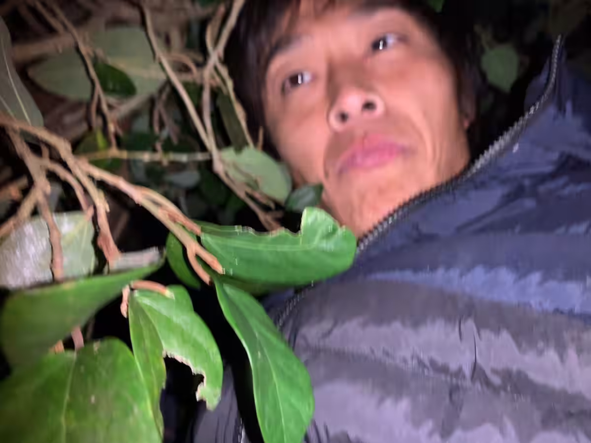 画像8
